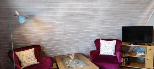 a living room with two chairs and a television at Ferienwohnung im Rohrdachhaus in Wustrow