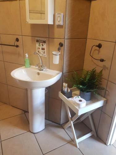 a bathroom with a sink and a plant on a table at Le Gallerie Luxury Accommodation in Graskop