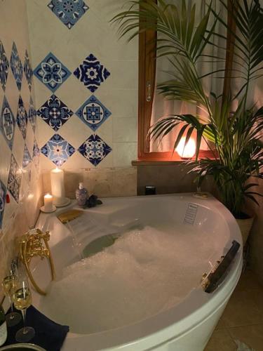 a bathroom with a tub with a plant in it at Sotto il cielo di Toscana appartamenti in tenuta only adults no pet in Camaiore