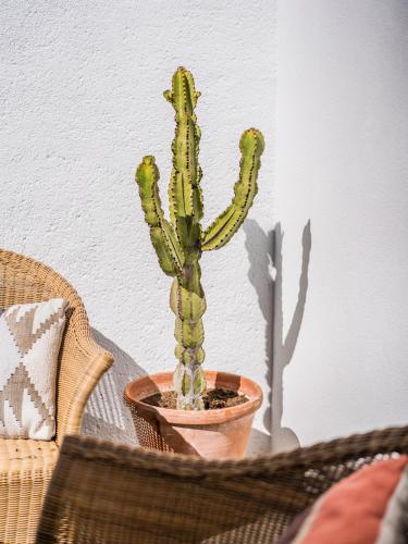Fotografie z fotogalerie ubytování Casa Del Maco v destinaci Benissa
