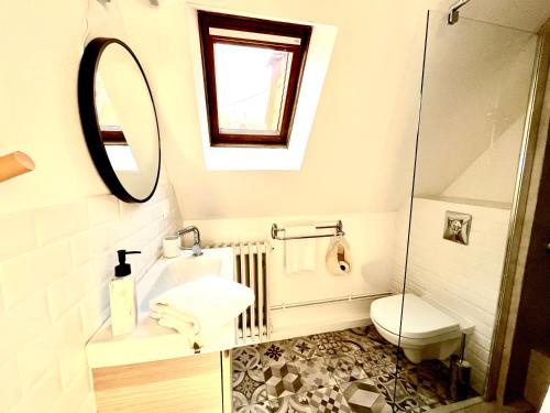 a bathroom with a toilet and a mirror at Sous les toits avec garage et terrasse à Ribeauville in Ribeauvillé