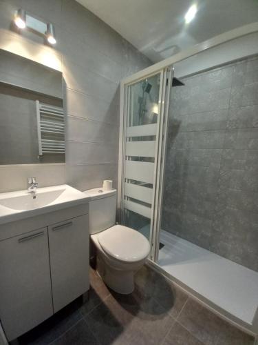 a bathroom with a shower and a toilet and a sink at Apartamento Cabrales in Gijón