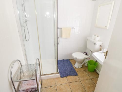 een badkamer met een douche, een toilet en een wastafel bij The Cottage in Carrowsallagh Bridge