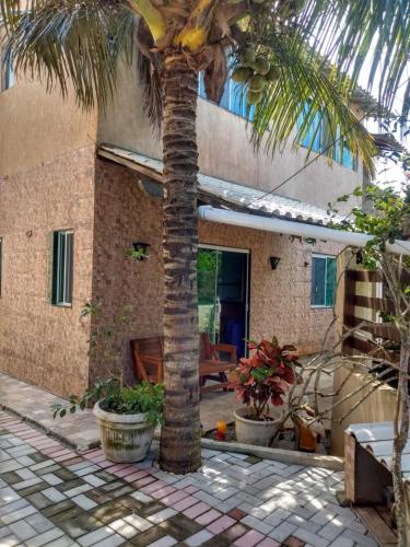 a palm tree in front of a house at Casa temporada in Arraial do Cabo