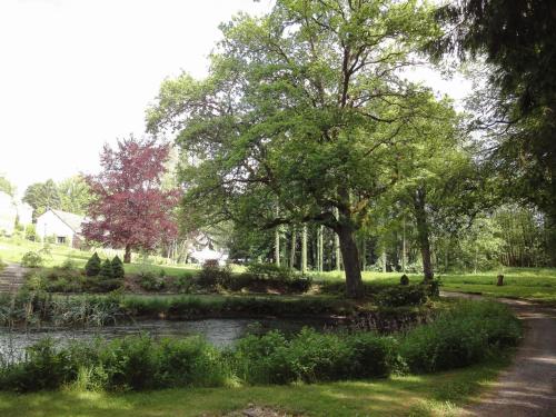 a tree in a field next to a river at Parkhotel Villa des Effats Vielsalm in Vielsalm