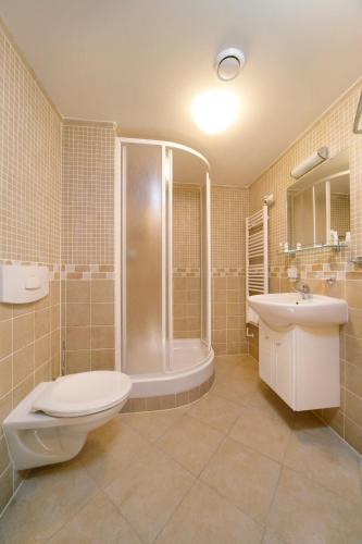 a bathroom with a toilet and a shower and a sink at Hotel pizzeria Belmonte in Špindlerův Mlýn