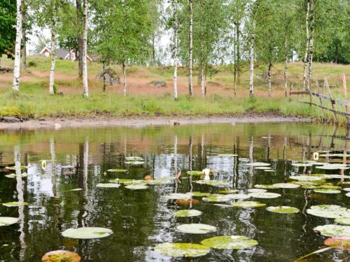 a pond with lily pads on the water at 6 person holiday home in LÅNGARYD-By Traum in Skeppshult