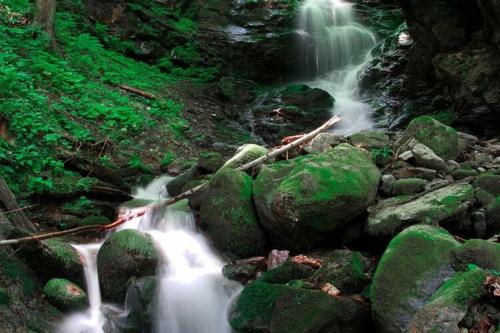 a stream of water flowing through a forest with rocks at Apartments Grafhube, Afritz-Verditz in Innere Einöde