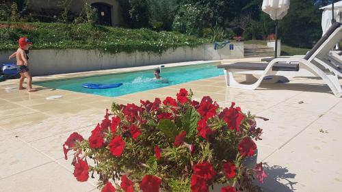 un garçon nageant dans une piscine avec des fleurs rouges dans l'établissement Le Peyroutet, à Cazaux-Villecomtal