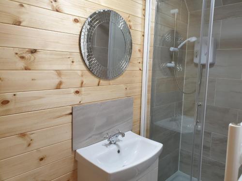 a bathroom with a shower and a sink and a mirror at The Hive - Unique log cabin with wood burning stove in Ludchurch