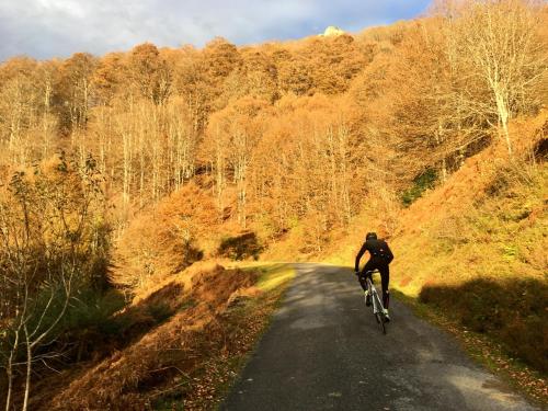 a person riding a bike down a road at Au Primerose Hôtel in Argelès-Gazost