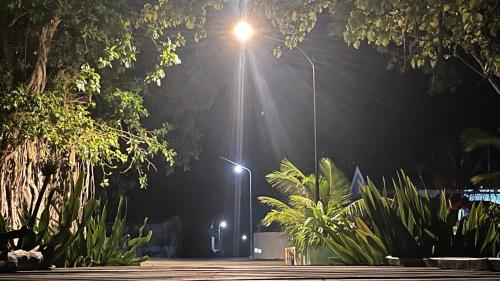 a street light at night with trees and plants at Atholhu Residence in Fehendhoo