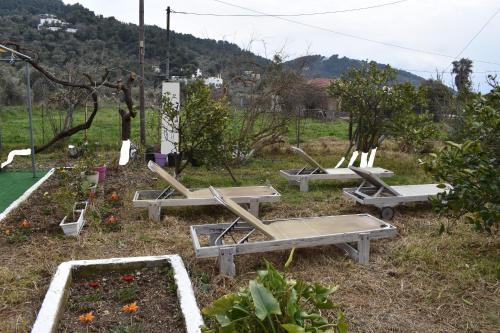 a group of picnic tables in a garden at Kerasia's and Dora's garden in Punta