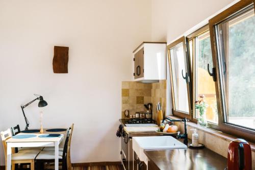cocina pequeña con fregadero y fogones en Quinta do Arade - Casa Girassol, en Silves
