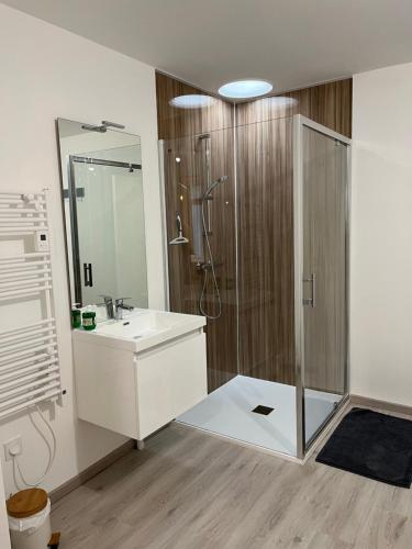 ein Bad mit einer Dusche und einem weißen Waschbecken in der Unterkunft Le beauvais in Évron