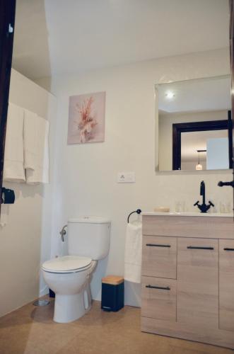 a bathroom with a toilet and a sink and a mirror at Apartamento Hiedra in Santillana del Mar