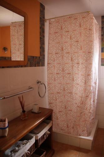 uma casa de banho com uma cortina de chuveiro e um espelho. em LOS DOS CEDROS em San Pablo