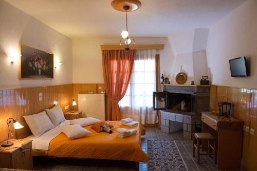 Gallery image of La Petri Studios with Fireplace & View in Metsovo