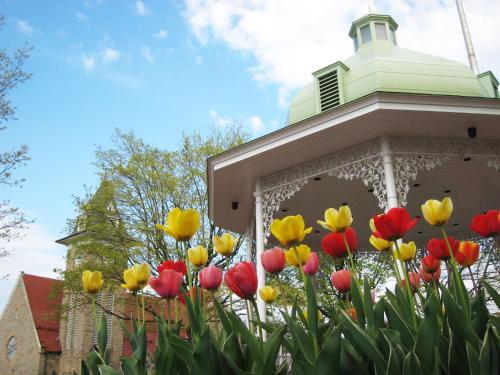 a bunch of colorful tulips in front of a building at Ramada by Wyndham Ligonier in Ligonier
