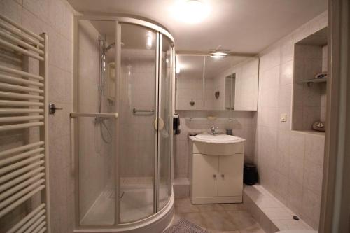 a bathroom with a shower and a sink at Gîte de la Liberté in Rouffach