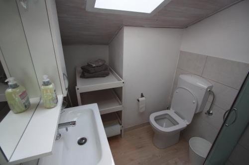 a small bathroom with a toilet and a sink at LoRoHome Sessa in Sessa