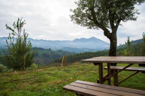 a wooden bench sitting on top of a field with a tree at Boavista Country Houses no 87 in Cabeceiras de Basto
