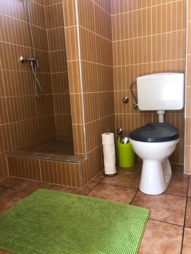 a bathroom with a toilet and a shower with a green rug at Panni Vendégház in Egerszalók