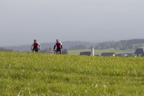 two people riding bikes on a grassy hill at Hotel-Gasthof Beim Böckhiasl in Neukirchen an der Vöckla