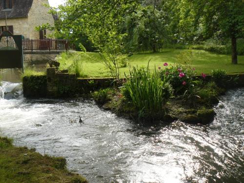 a stream of water with plants in a yard at Chambres d'Hôtes & Gites Pouget in Les Eyzies-de-Tayac
