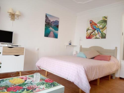 a bedroom with a bed and a glass table at Luminoso y tranquilo estudio zona Botánico in Puerto de la Cruz