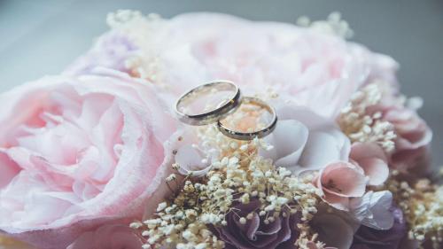 two wedding rings sitting on top of a pink rose at Staybridge Suites - Lake Jackson by IHG in Lake Jackson