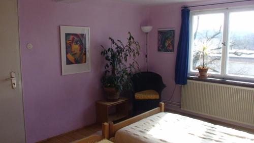 um quarto com paredes roxas, uma cadeira e uma janela em Haus Wunderlich em Sigmaringen