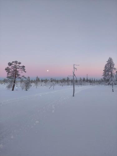 a snow covered field with trees in the distance at Isokelo Log Apartments in Salla