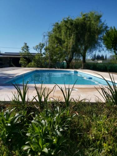 Raices Chivilcoy – Photos 3
