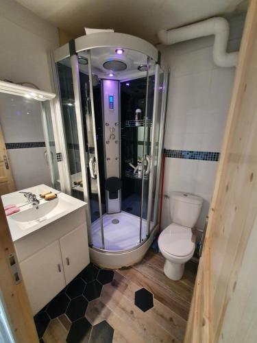 Un baño con ducha, inodoro y lavabo. en L'Edelweiss, en Pontamafrey