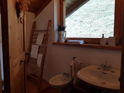 a bathroom with a sink and a toilet and a window at Ronchet Baita Vanoi Trentino in Ronco