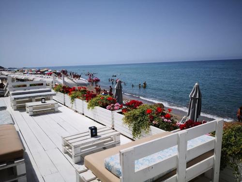 una spiaggia con sedie e ombrelloni e l'oceano di Hotel Venere ad Ascea