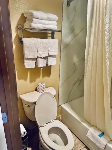 a bathroom with a toilet and a shower and towels at Conner Hill Motor Lodge in Pigeon Forge