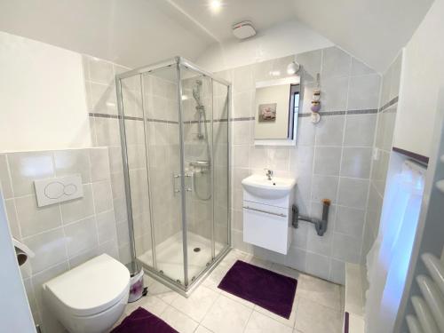 a bathroom with a shower and a toilet and a sink at GITE AU BIEN AITRE in Beaumont-Pied-de-Boeuf
