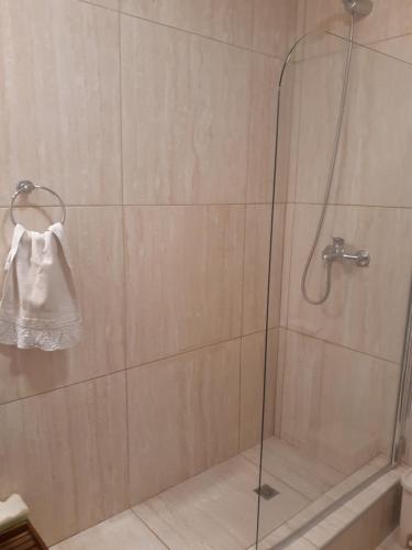 a shower with a glass door with a white bag on it at Departamento Nuevo en Cipolletti in Cipolletti