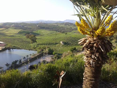 Paisaje cerca de este agroturismo