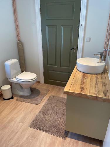 a bathroom with a toilet and a sink at HomeSweetSweden in Malung