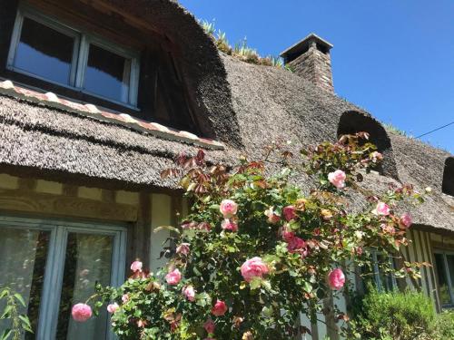 une maison avec des roses sur son côté dans l'établissement Chaumière aux portes d'Honfleur, à Manneville-la-Raoult