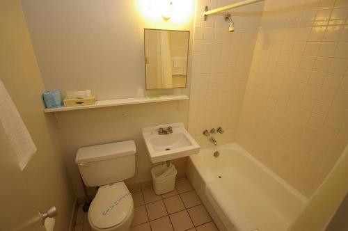 a bathroom with a toilet and a sink and a tub at The Alexandra Hotel in Toronto