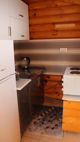 uma pequena cozinha com um frigorífico e um fogão em Vikendice Mijajlović 1 em Kuršumlija