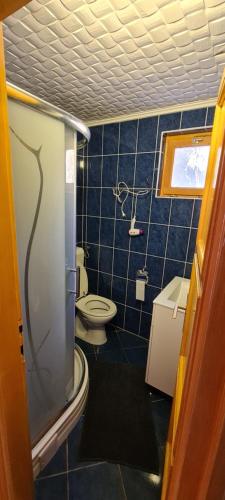 uma casa de banho azul com um WC e um lavatório em Adler vendégház horgász nyaraló em Gyomaendrod