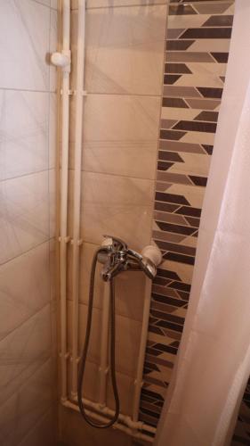 La salle de bains est pourvue d'une douche et d'un tuyau. dans l'établissement Vikendica Mijajlović 2, à Kuršumlija