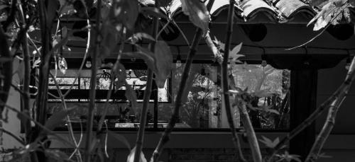 a black and white photo of a window with plants at Clavellino House en Villa de Leyva - Tranquilidad y Naturaleza en Reserva Natural Urbana! in Villa de Leyva