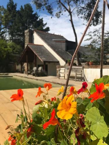 a bouquet of flowers in front of a house at Pennans Cottage in Cubert