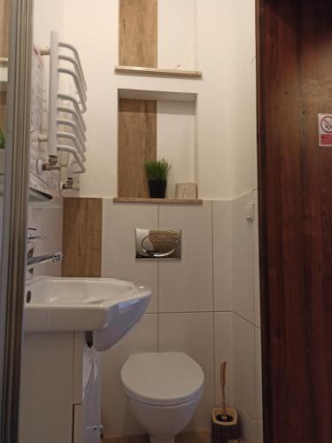 シュツァブニツァにあるDomek u Juliiのバスルーム(白いトイレ、シンク付)